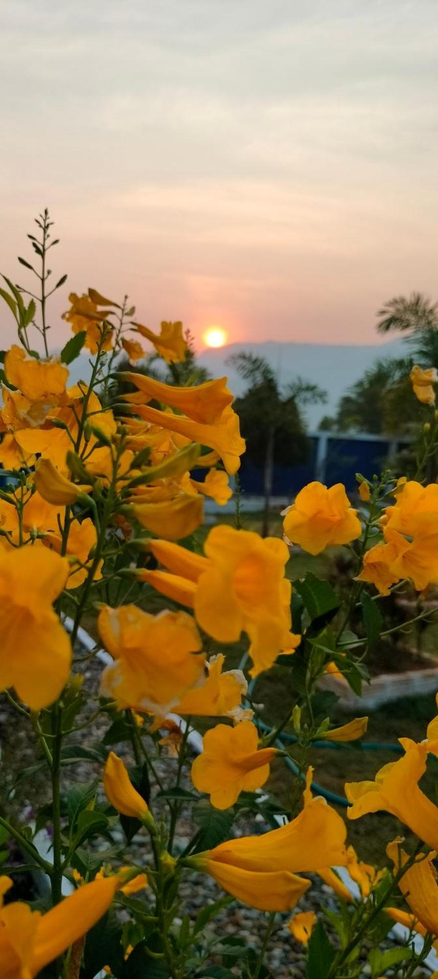 Poonsap Homestay Nan Exteriér fotografie